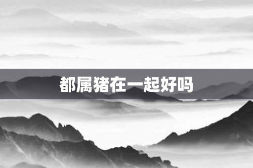 都属猪在一起好吗