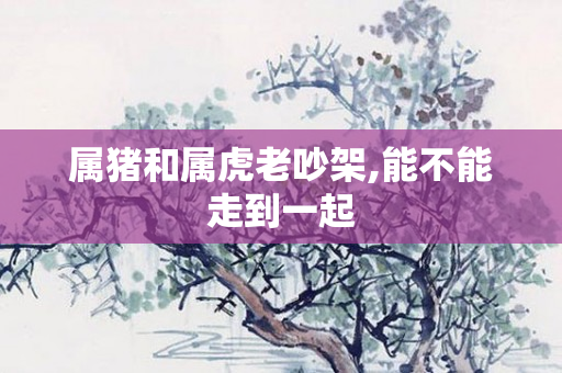 属猪和属虎老吵架,能不能走到一起