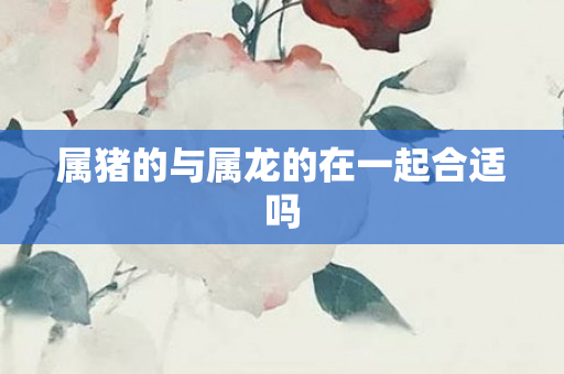 属猪的与属龙的在一起合适吗
