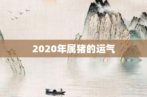 2020年属猪的运气
