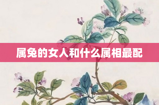 属兔的女人和什么属相最配