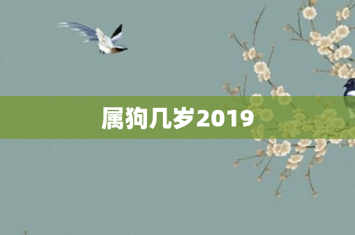 属狗几岁2019