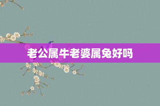 老公属牛老婆属兔好吗