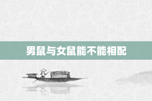 男鼠与女鼠能不能相配