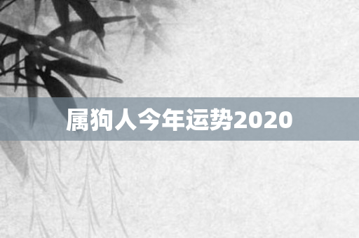 属狗人今年运势2020