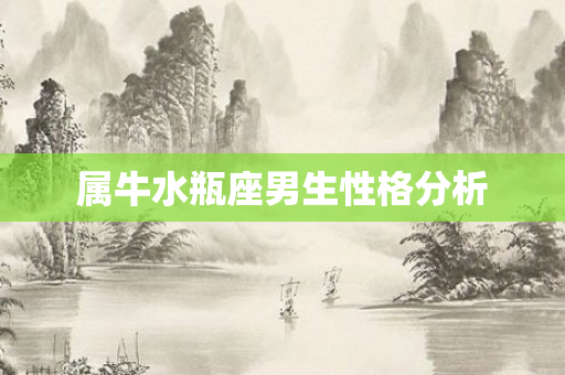 属牛水瓶座男生性格分析