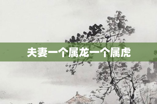 夫妻一个属龙一个属虎