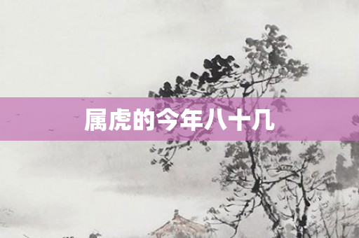 属虎的今年八十几