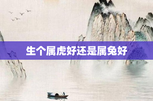 生个属虎好还是属兔好