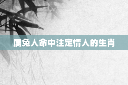 属兔人命中注定情人的生肖