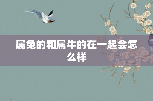 属兔的和属牛的在一起会怎么样
