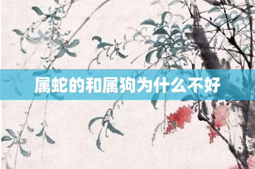 属蛇的和属狗为什么不好