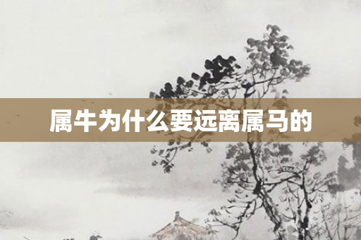 属牛为什么要远离属马的
