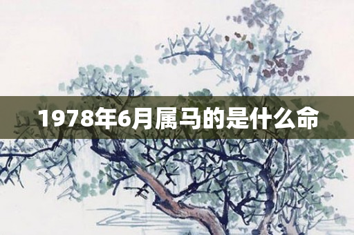 1978年6月属马的是什么命