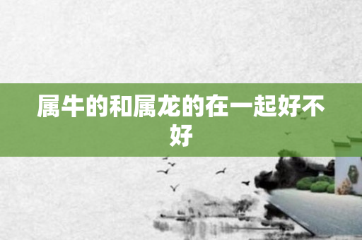 属牛的和属龙的在一起好不好