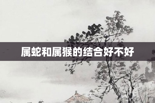 属蛇和属猴的结合好不好