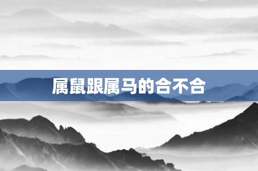 属鼠跟属马的合不合