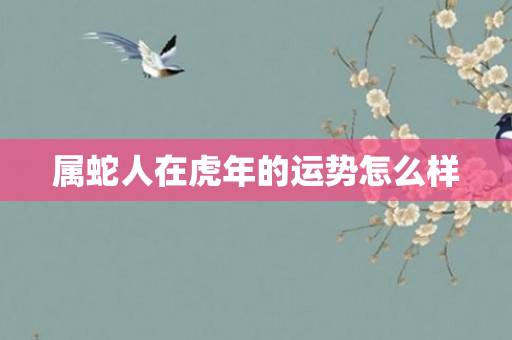 属蛇人在虎年的运势怎么样