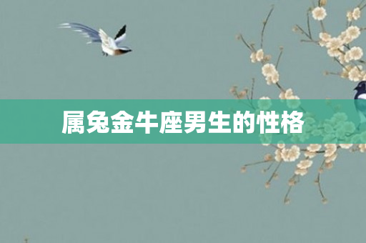 属兔金牛座男生的性格