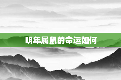 明年属鼠的命运如何