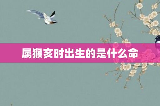 属猴亥时出生的是什么命