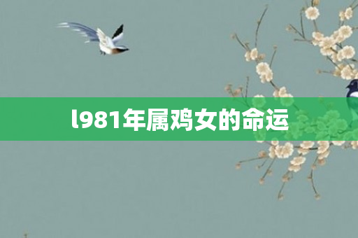 l981年属鸡女的命运