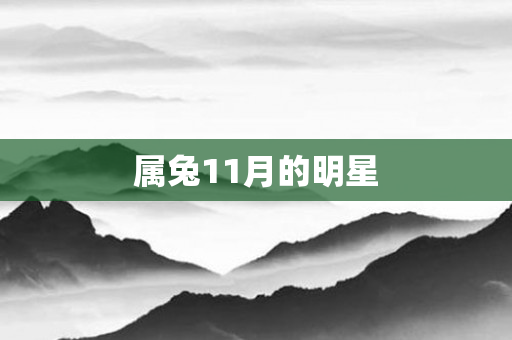 属兔11月的明星