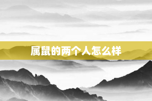 属鼠的两个人怎么样