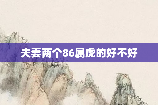 夫妻两个86属虎的好不好