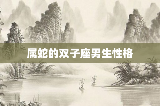 属蛇的双子座男生性格