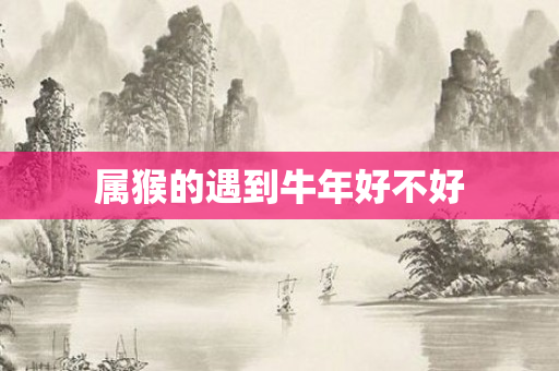 属猴的遇到牛年好不好
