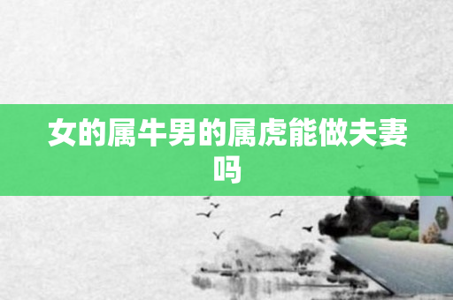 女的属牛男的属虎能做夫妻吗