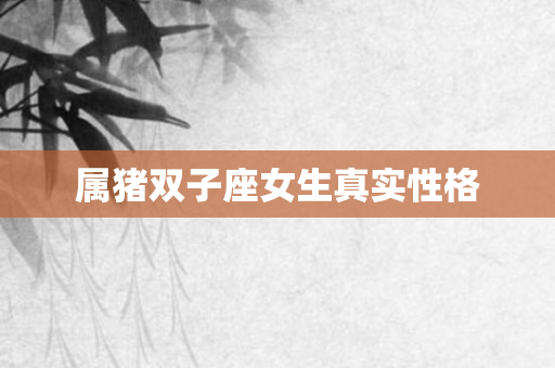属猪双子座女生真实性格