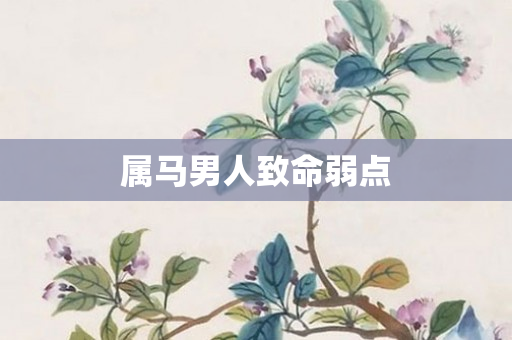 属马男人致命弱点