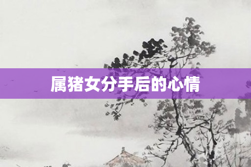 属猪女分手后的心情