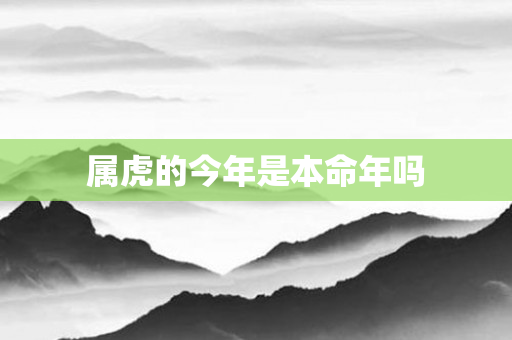 属虎的今年是本命年吗