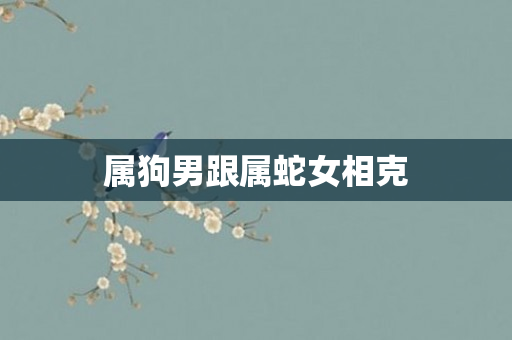 属狗男跟属蛇女相克