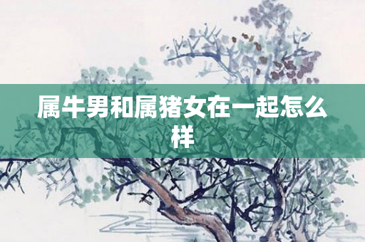 属牛男和属猪女在一起怎么样