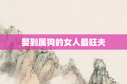 娶到属狗的女人最旺夫