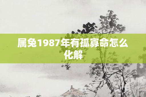 属兔1987年有孤寡命怎么化解