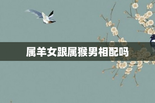 属羊女跟属猴男相配吗