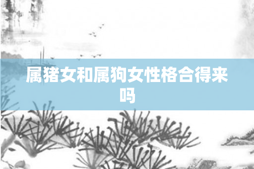 属猪女和属狗女性格合得来吗