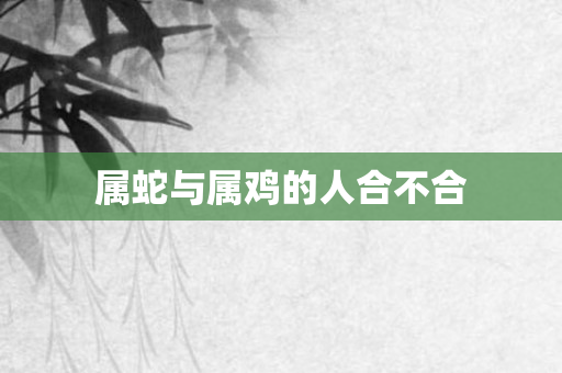 属蛇与属鸡的人合不合