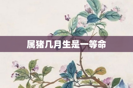 属猪几月生是一等命