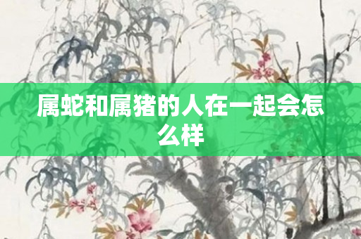 属蛇和属猪的人在一起会怎么样