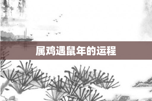 属鸡遇鼠年的运程