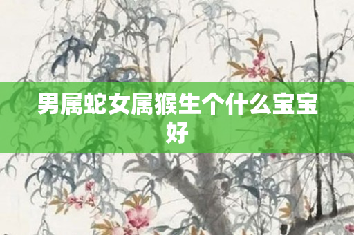 男属蛇女属猴生个什么宝宝好