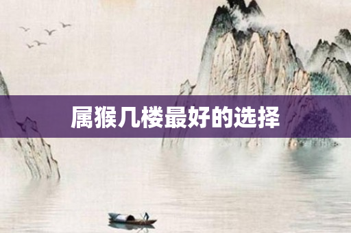 属猴几楼更好的选择