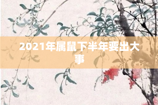 2021年属鼠下半年要出大事