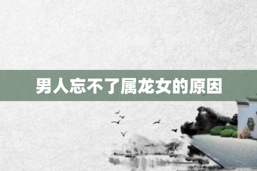 男人忘不了属龙女的原因